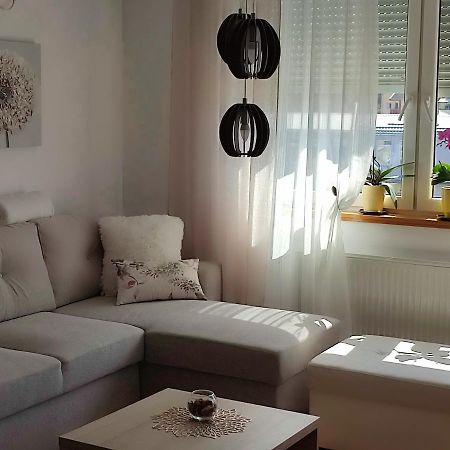 Apartment Rosa Novi Sad Luaran gambar